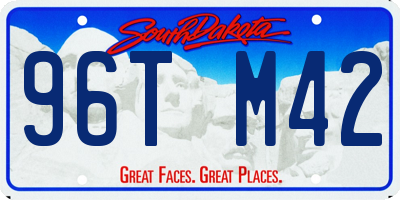 SD license plate 96TM42