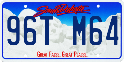 SD license plate 96TM64