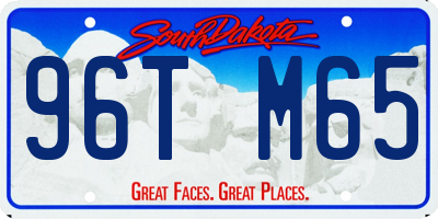 SD license plate 96TM65