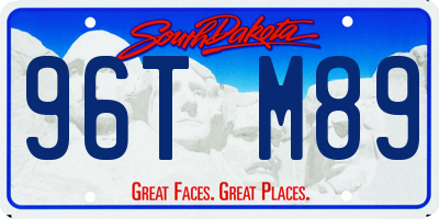 SD license plate 96TM89