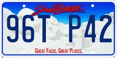 SD license plate 96TP42