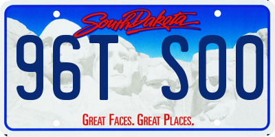 SD license plate 96TS00