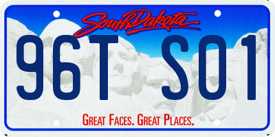 SD license plate 96TS01