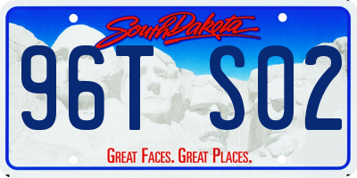 SD license plate 96TS02