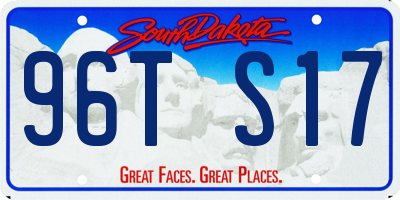 SD license plate 96TS17