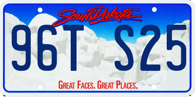 SD license plate 96TS25