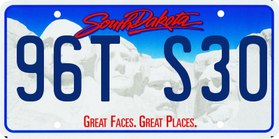 SD license plate 96TS30