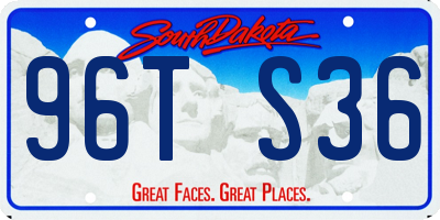 SD license plate 96TS36