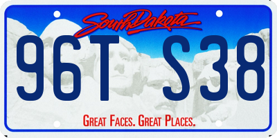 SD license plate 96TS38