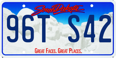 SD license plate 96TS42