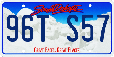 SD license plate 96TS57
