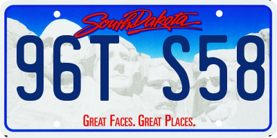 SD license plate 96TS58