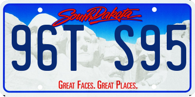 SD license plate 96TS95