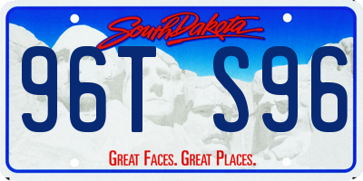 SD license plate 96TS96
