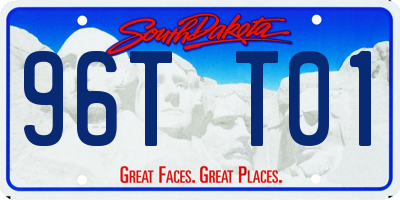 SD license plate 96TT01