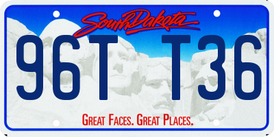SD license plate 96TT36