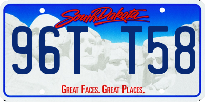 SD license plate 96TT58