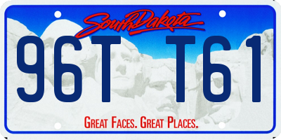 SD license plate 96TT61