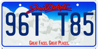 SD license plate 96TT85