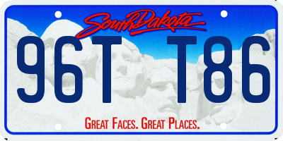 SD license plate 96TT86