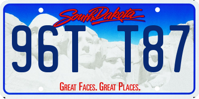 SD license plate 96TT87