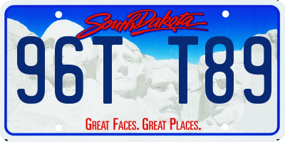 SD license plate 96TT89