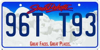 SD license plate 96TT93