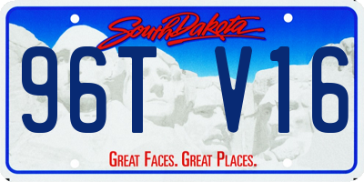 SD license plate 96TV16