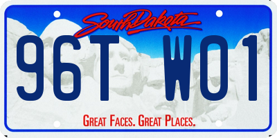 SD license plate 96TW01