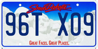 SD license plate 96TX09