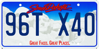 SD license plate 96TX40