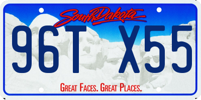 SD license plate 96TX55