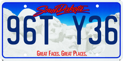 SD license plate 96TY36