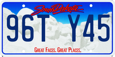 SD license plate 96TY45