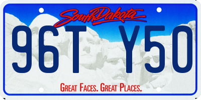 SD license plate 96TY50