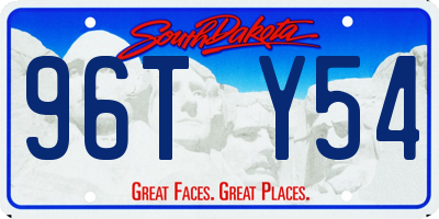 SD license plate 96TY54