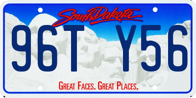SD license plate 96TY56