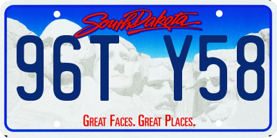 SD license plate 96TY58