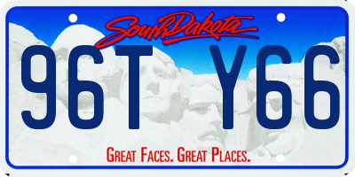 SD license plate 96TY66