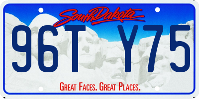 SD license plate 96TY75
