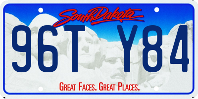 SD license plate 96TY84