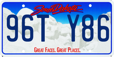 SD license plate 96TY86