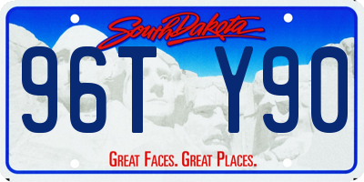 SD license plate 96TY90