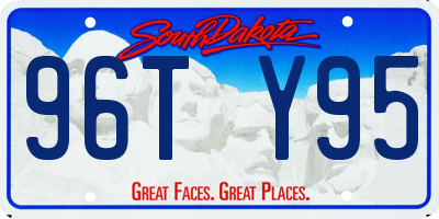 SD license plate 96TY95