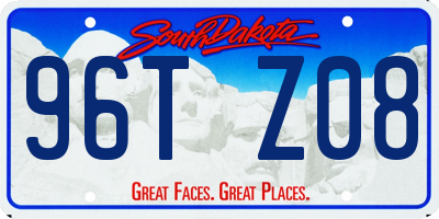 SD license plate 96TZ08