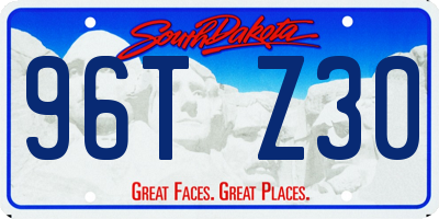 SD license plate 96TZ30
