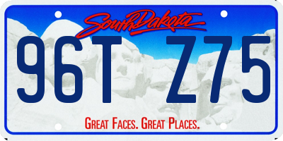 SD license plate 96TZ75