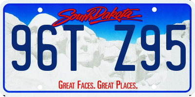SD license plate 96TZ95