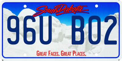 SD license plate 96UB02