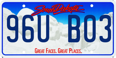 SD license plate 96UB03